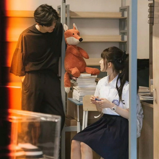 Hidden Love Drama Fox Plushie